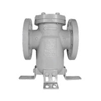 Titan BS 86-CS Simplex Basket Strainer