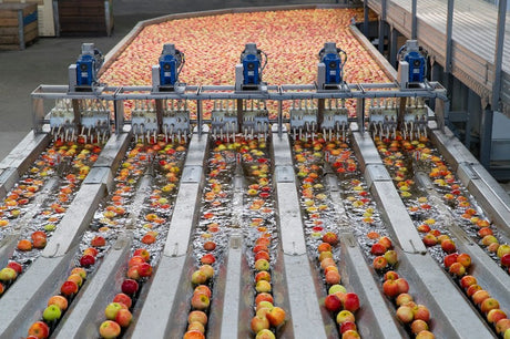 How To Reuse Water in Food Processing Plants