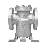 Titan BS 86-SS Simplex Basket Strainer