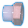 2" Adapter Butt-Fusion x FPT Hp PVDF 230 psi